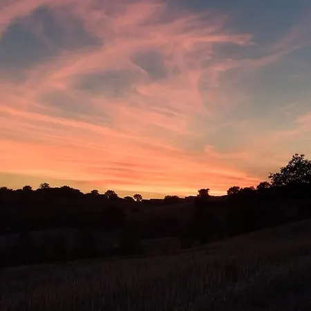 Casal Del Sole - Il Gelso Apartment *